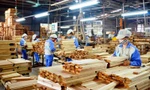 Hai 'khách sộp' tăng mạnh nhập nông sản Việt Nam 