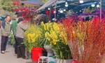 Giá hoa tăng cao do người dân tấp nập đi lễ 