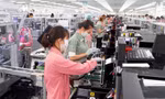 Doanh nghiệp xuất khẩu khai xuân đầy ắp đơn hàng