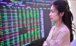 Cổ phiếu ngành nào hot nhất lúc này?