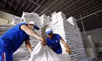 Đề xuất quy định kinh doanh xuất khẩu gạo như 'đánh đố' 