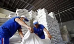 Đề xuất quy định kinh doanh xuất khẩu gạo như 'đánh đố' 