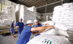Giá lúa gạo thất thường, Bộ Công Thương lập đoàn kiểm tra 