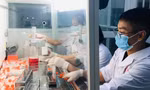 TPHCM: Thêm 18 ca nghi mắc COVID-19, đa số là F1 liên quan nhóm truyền giáo Phục Hưng