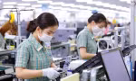 Tiền Giang nói gì việc 19 doanh nghiệp FDI 'kêu cứu'?