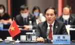 Bộ trưởng Bùi Thanh Sơn tham dự hội nghị. (Ảnh: Mofa)