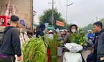 Xếp hàng dài mua hoa 'xả hàng' tại chợ đầu mối lớn nhất Thanh Hóa