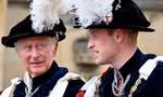 Lý do Vua Charles chưa vội chuyển giao quyền lực cho William