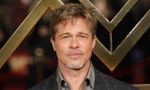 Brad Pitt vướng vào vụ lừa tình