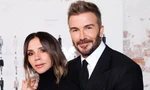 Phản ứng của vợ chồng Beckham khi bị chê