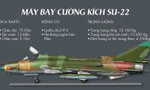 [Infographics] Cường kích Su-22 và bốn sự cố đáng tiếc 
