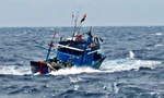 Chìm tàu cá, 14 thuyền viên trôi nổi trên biển chờ cứu nạn