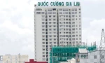 Quốc Cường Gia Lai và nhiều doanh nghiệp bán tài sản