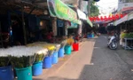 Kiến nghị mở lại chợ hoa Đầm Sen dịp Tết Đoan Ngọ