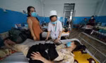 Dịch sốt xuất huyết tăng mạnh tại Bà Rịa-Vũng Tàu và Bình Thuận