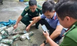 Hàng chục ký tinh thể nghi ma túy dạt vào bờ biển Côn Đảo
