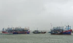 1 người tử vong, gần chục tàu thuyền bị chìm do bão số 9
