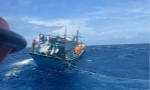 Lai dắt tàu cá bị phá nước, cứu sống 15 thuyền viên 