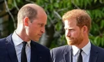 Điểm chung của William và Harry khi chọn vợ