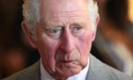 Tại sao Vua Charles công khai bệnh tình?