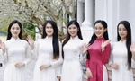 Hoa hậu Việt Nam 2024 được đặt trong môi trường văn hóa của Huế