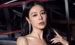 Nam Thư bị xử phạt
