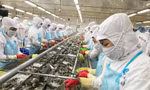 Tháo gỡ vướng mắc về pháp lý, tiếp cận vốn để phục hồi tăng trưởng 