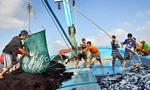 Thủ tướng yêu cầu quyết tâm gỡ 'thẻ vàng' thủy sản 