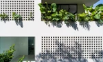 Ấn tượng ngôi nhà được cải tạo từ biệt thự cũ