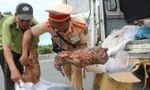 Phát hiện xe khách vận chuyển động vật hoang dã trái phép