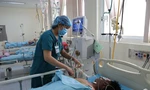 6 người nhập viện, 2 người nguy kịch vì ngộ độc cá nóc
