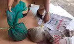 Bắt xe khách chở động vật hoang dã trái phép tại Quảng Nam