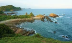 Quảng Ninh thành lập khu bảo tồn biển rộng hơn 18 nghìn ha