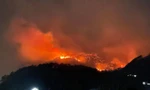 Cháy rừng ở Quảng Ninh, cả ngọn đồi đỏ rực như 'núi lửa'