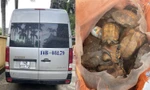 Bắt giữ xe khách vận chuyển 34 cá thể rùa 'sách đỏ thế giới'