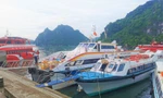 Quảng Ninh, Lạng Sơn khẩn cấp ứng phó bão số 1