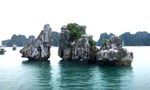 Biểu tượng hòn Trống Mái ở vịnh Hạ Long trước nguy cơ đổ sập