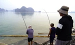 Nghề 'hot' sau bão ở Hạ Long, ngồi chơi cũng kiếm tiền triệu