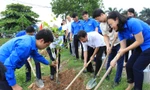 Tuổi trẻ Bắc Ninh trồng cây xanh