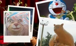 Linh vật năm Quý Mão 2023: Độc lạ mèo Thanh Hóa “tiêm filler căng da”, mèo Vũng Tàu thay da hóa hổ