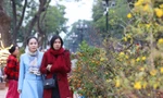 Chợ hoa Công viên Thống Nhất tấp nập ngày cận Tết