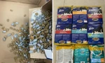 Ma tuý trộn trong thức ăn chó mèo tuồn từ nước ngoài về Việt Nam 