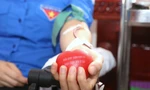 Đoàn viên Nhà máy Z115 hiến máu, lan tỏa yêu thương