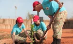 Bác sĩ mũ nồi xanh Việt Nam chào cờ đầu năm, trồng cây xanh tại Nam Sudan