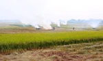 Khói rơm rạ bao phủ vùng ven Hà Nội