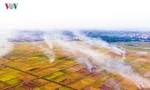 Khói đốt rơm rạ bủa vây ngoại ô Hà Nội