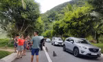 Nhiều du khách vẫn cho khỉ ăn ở bán đảo Sơn Trà dù đã bị cấm 