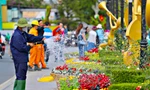 Đà Lạt rực rỡ sắc màu trước ngày khai mạc Festival hoa 