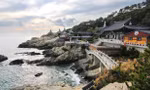 Đến Busan, hầu hết du khách đều muốn ghé thăm Haedong Yonggungsa, ngôi chùa xinh đẹp được xây dựng vào triều đại Goryeo nằm ở đông bắc thành phố. Người ta tin rằng, những mơ ước của du khách sẽ trở thành hiện thực khi nguyện cầu tại đây. Ảnh: shutterstock