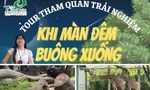 Thảo Cầm Viên lần đầu ra mắt tour đêm: Các "boss" tăng ca, Gen Z nô nức lên lịch